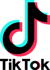 tiktok logo.png